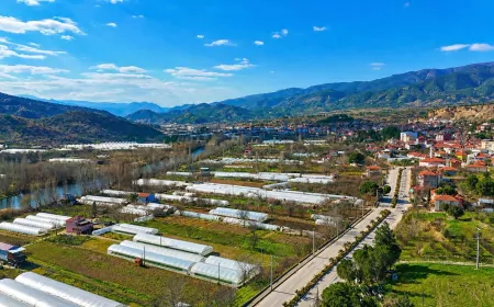 Sarıcakaya altın madeni projesine yargıdan iptal kararı