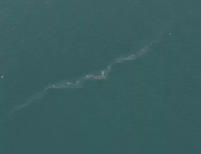 İzmir Körfezi’nde 13. Kirlilik Vakası: “Sistematik İhlal” Uyarısı