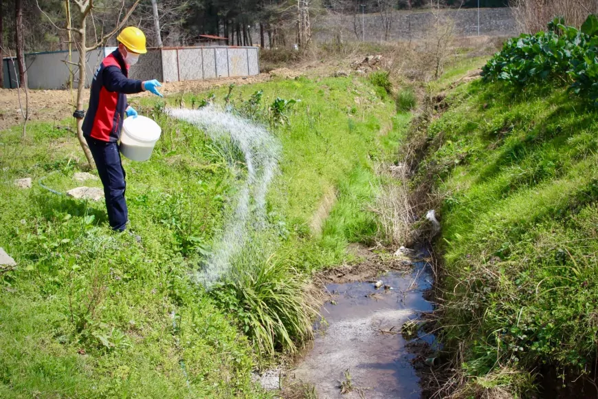 Giresun’da ilaçlama seferberliği: Zararlıların üreme alanları hedef alındı