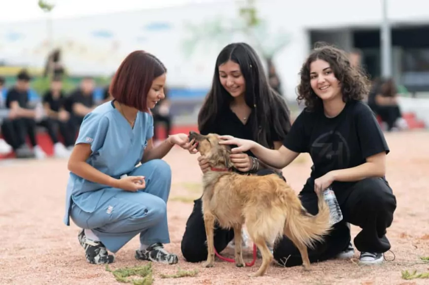 İzmir Büyükşehir Belediyesi: Son iki yılda 3 bin 300 hayvan sahiplendirildi