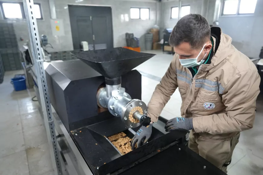 Atık Yemekler Can Dostlarımıza Mama Oluyor