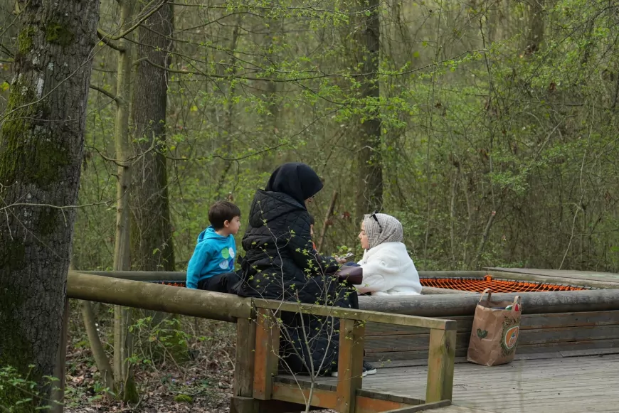 Eşsiz Doğada Kitaplara Yolculuk: Orman Kütüphanesi’nde Okuma Keyfi Bambaşka