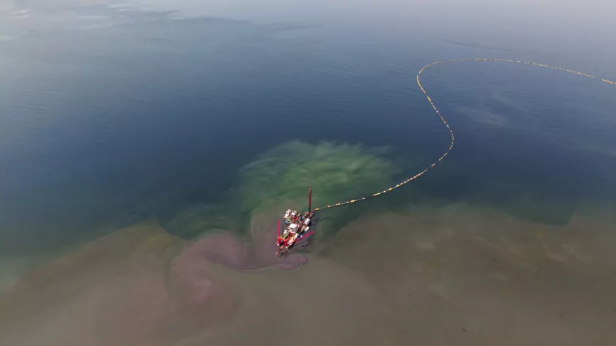 İzmit Körfezi’nde Ekosistem Canlandı: Deniz Canlıları Geri Döndü