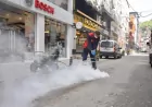 Giresun’da Rögarlarda Haşere ve Sivrisinek İlaçlaması Yapıldı