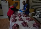 Düzce Belediyesi Kurban Bayramı’nda Hayırseverlerle İhtiyaç Sahipleri Arasında Gönül Köprüsü Kuracak