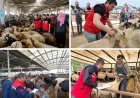 Tarım ve Orman Bakanlığı Kurban Bayramı Öncesi 81 İlde Kurbanlık Denetimlerini Sıklaştırdı