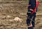 Yalova Belediyesi İtfaiye Ekipleri Çamura Saplanan Kurbanlık Koçu Kurtardı
