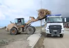 Hatay Büyükşehir Belediyesi Samandağ Sahili’nde Selin Taşıdığı Atıkları Temizliyor