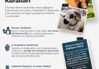 Tarım ve Orman Bakanlığı Kurban Kesiminde Hijyen Kurallarına Dikkat Çekti