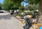 Mardin Büyükşehir Belediyesi Kurban Bayramı Öncesi Mezarlıklarda Temizlik ve Bakım Çalışmalarını Sürdürüyor