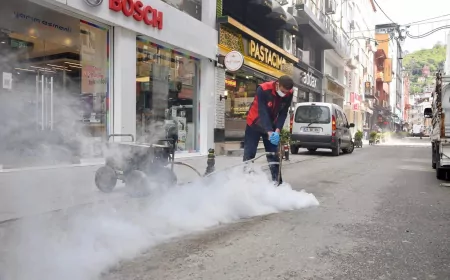 Giresun’da Rögarlarda Haşere ve Sivrisinek İlaçlaması Yapıldı