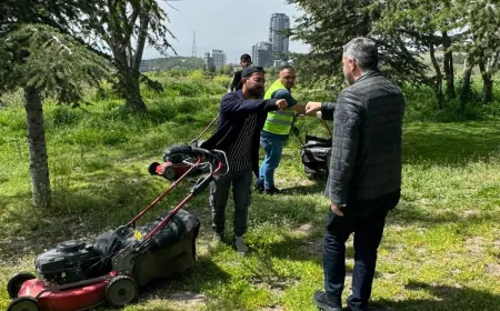 Pursaklar Belediyesi Yeşil Alanları Yaz Sezonuna Hazırlıyor