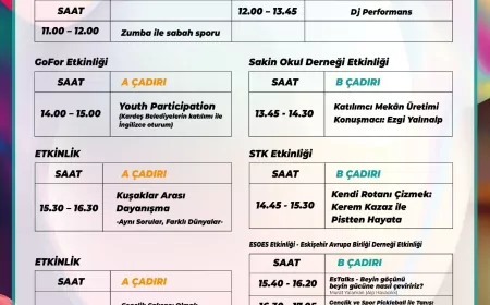 Odunpazarı Belediyesi’nin düzenlediği Uluslararası 3D Gençlik Festivali Kanlıkavak Parkı’nda sürüyor