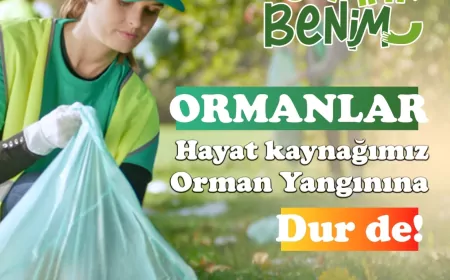 İYİ Parti Odunpazarı İlçe Teşkilatı’ndan Çatak Bayırı Tepkisi: “13 Aydır Hiçbir Şey Değişmedi”