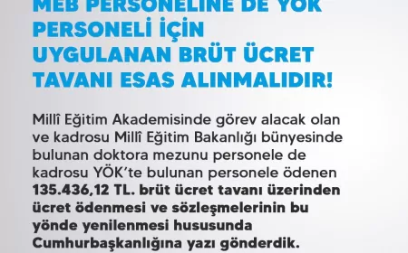 Türk Eğitim-Sen Genel Başkanı Talip Geylan: “Millî Eğitim Akademisinde doktora mezunu personele YÖK ücret tavanı uygulanmalıdır”