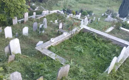 Trabzon Büyükşehir Belediyesi Kurban Bayramı Öncesi 1646 Dönümlük Mezarlık Alanında Temizlik Çalışmasını Tamamladı