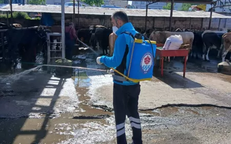Trabzon Büyükşehir Belediyesi kurban satış ve kesim alanlarında hijyen çalışmalarını yoğunlaştırdı