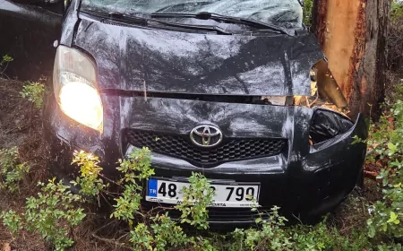 Muğla Bodrum’da yoğun yağış nedeniyle kontrolden çıkan otomobil ağaca çarptı