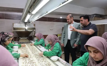 Şanlıurfa Büyükşehir Belediye Başkanı Mehmet Kasım Gülpınar: “Birecik fıstığı Avrupa pazarında önemli bir başarı yakaladı”