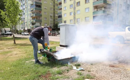 Diyarbakır Büyükşehir Belediyesi 17 İlçede Haşereyle Mücadele Çalışmalarını Aralıksız Sürdürüyor