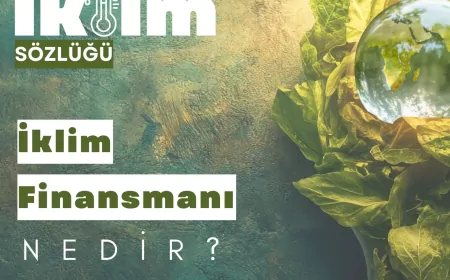 İklim Finansmanı, Azaltım ve Uyum Politikalarının Uygulanmasında Kritik Rol Üstleniyor