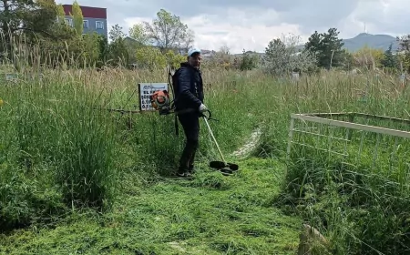 Van Büyükşehir Belediyesi Kurban Bayramı Öncesi Mezarlıklarda Kapsamlı Temizlik Çalışması Başlattı