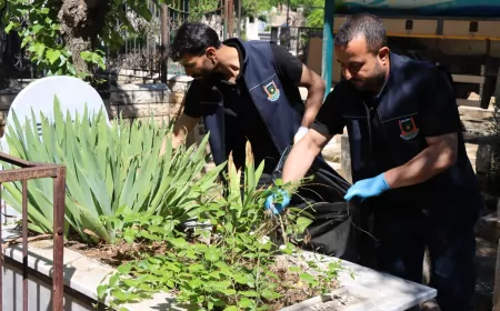 Şanlıurfa Büyükşehir Belediyesi Kurban Bayramı Öncesi Mezarlıkları Ziyarete Hazır Hale Getirdi