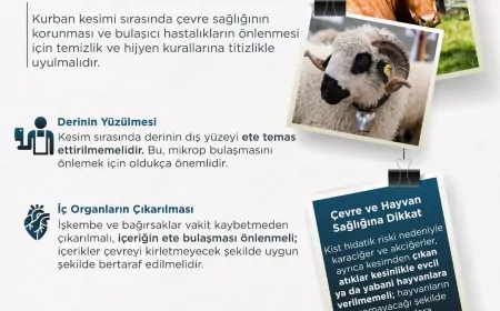 Tarım ve Orman Bakanlığı Kurban Kesiminde Hijyen Kurallarına Dikkat Çekti