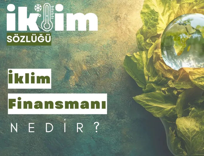 İklim Finansmanı, Azaltım ve Uyum Politikalarının Uygulanmasında Kritik Rol Üstleniyor