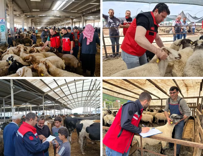 Tarım ve Orman Bakanlığı Kurban Bayramı Öncesi 81 İlde Kurbanlık Denetimlerini Sıklaştırdı