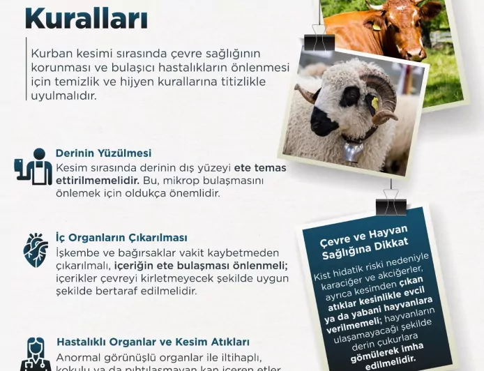 Tarım ve Orman Bakanlığı Kurban Kesiminde Hijyen Kurallarına Dikkat Çekti