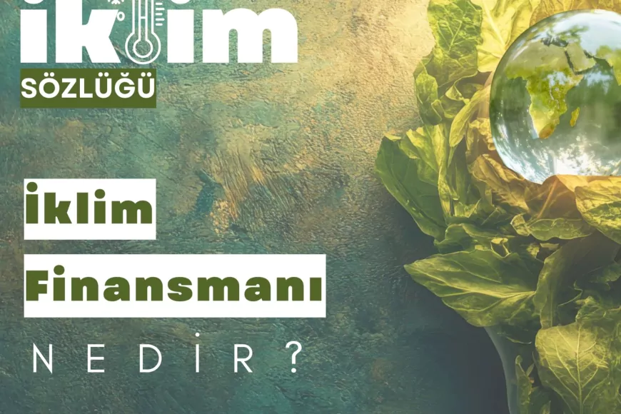 İklim Finansmanı, Azaltım ve Uyum Politikalarının Uygulanmasında Kritik Rol Üstleniyor