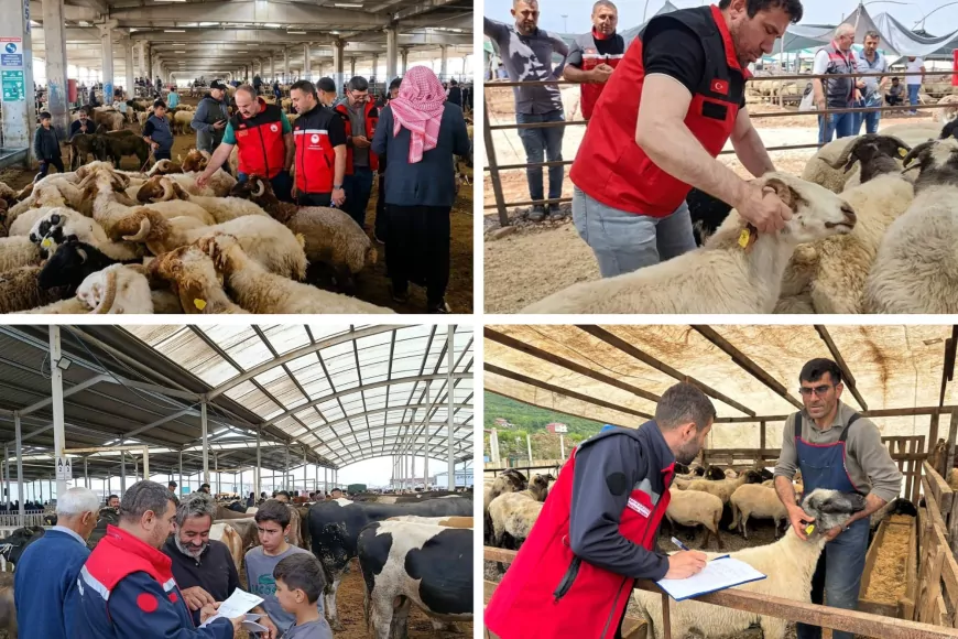 Tarım ve Orman Bakanlığı Kurban Bayramı Öncesi 81 İlde Kurbanlık Denetimlerini Sıklaştırdı