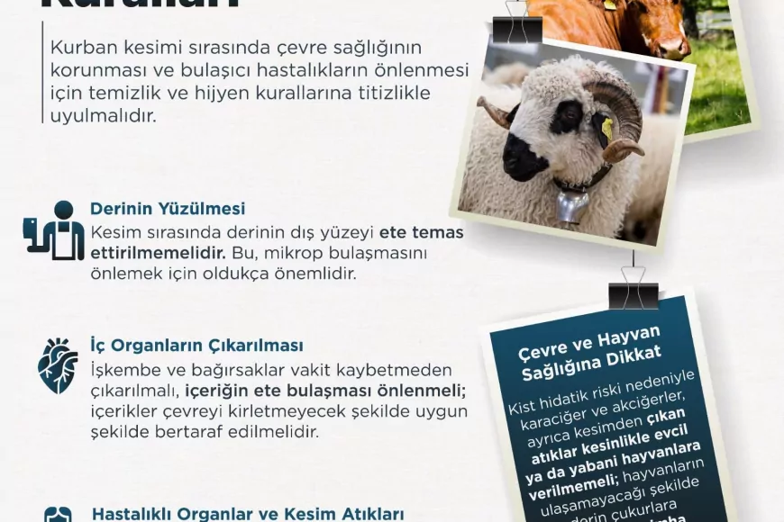 Tarım ve Orman Bakanlığı Kurban Kesiminde Hijyen Kurallarına Dikkat Çekti