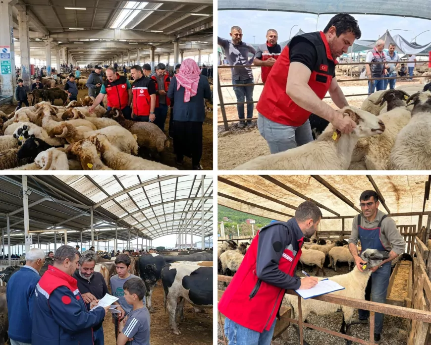 Tarım ve Orman Bakanlığı Kurban Bayramı Öncesi 81 İlde Kurbanlık Denetimlerini Sıklaştırdı