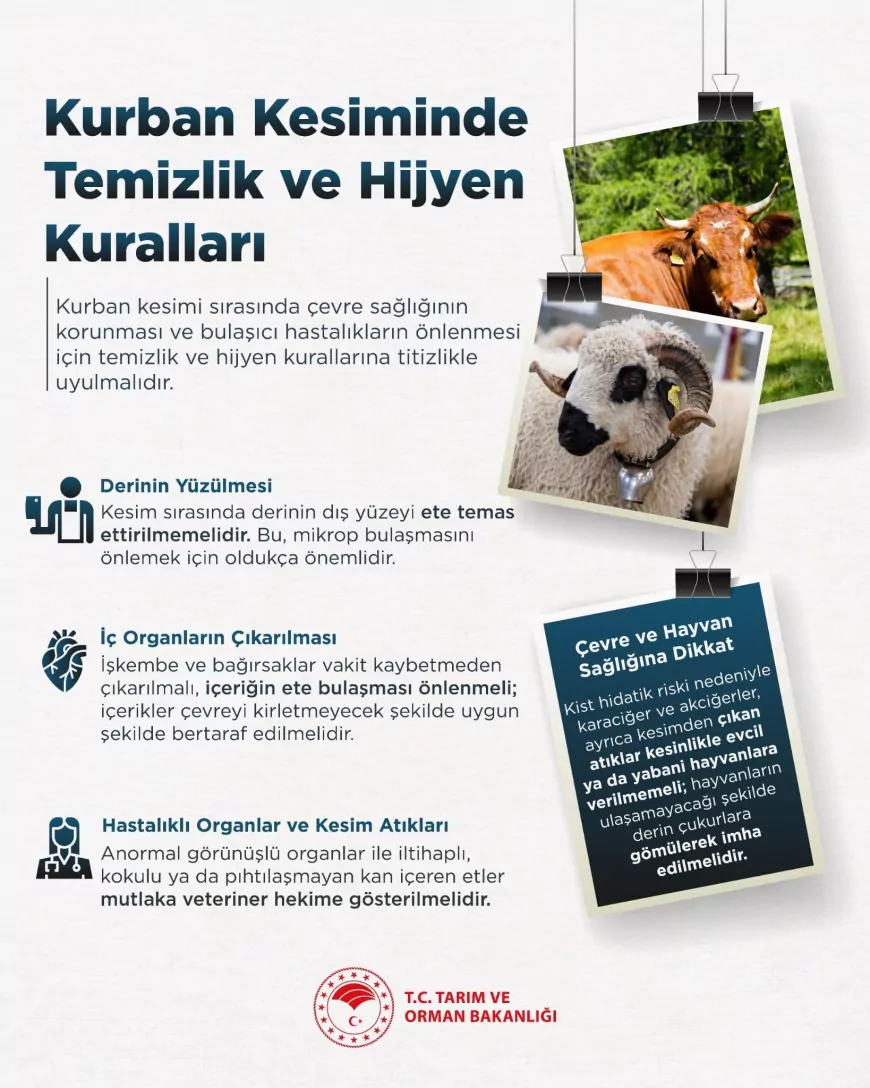 Tarım ve Orman Bakanlığı Kurban Kesiminde Hijyen Kurallarına Dikkat Çekti