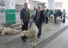 Tepebaşı’nda Kurban Kesim Alanına Yoğun İlgi Vatandaşlardan Ahmet Ataç’a “Halkın Yanında, Halkın Başkanı” Yorumu