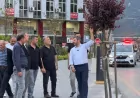 Yerel Yönetimler Karabük Belediye Başkanı Özkan Çetinkaya: “Kemal Güneş Caddesi’ni estetik vizyonumuza yakışır hale getirdik”