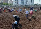 Diyarbakır Büyükşehir Belediyesi Eşbaşkanı Serra Bucak: “Kadınların üretimdeki rolünü güçlendirmeyi hedefliyoruz