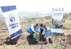 Hatay’da Dünya Çevre Günü Etkinliğinde Gençler ve Öğrenciler İlk Fidanları Toprakla Buluşturdu