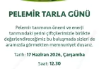 Eskişehir Alpu’da Yerli ve Milli Pelemir Bitkisinin Tanıtımı İçin Tarla Günü Düzenlenecek