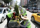 Van Büyükşehir Belediyesi Kazım Karabekir Caddesi’ne 17 Bin Mevsimlik Çiçek Dikerek Kent Estetiğini Güçlendirdi