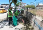 Van Büyükşehir Belediyesi Doğu Caddesi’nde Kaldırım ve Ağaç Diplerinde Kapsamlı Temizlik Çalışması Gerçekleştirdi