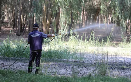Hatay Büyükşehir Belediyesi 866 Bin Noktada İlaçlama Gerçekleştirdi Drone Destekli Mücadele Sürüyor