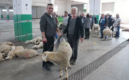 Tepebaşı’nda Kurban Kesim Alanına Yoğun İlgi Vatandaşlardan Ahmet Ataç’a “Halkın Yanında, Halkın Başkanı” Yorumu