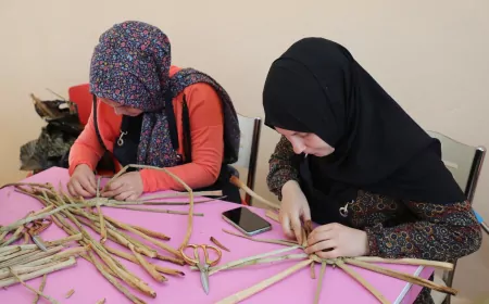 Hatay Büyükşehir Belediyesi Sıfır Atık Festivali’nde çevre ve enerji projelerini tanıtacak
