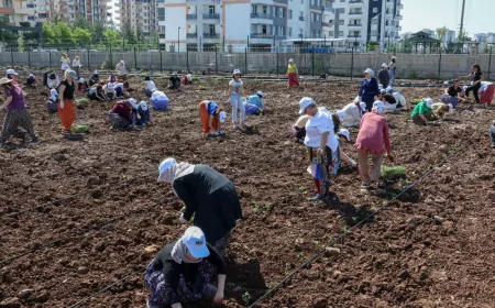 Diyarbakır Büyükşehir Belediyesi Eşbaşkanı Serra Bucak: “Kadınların üretimdeki rolünü güçlendirmeyi hedefliyoruz