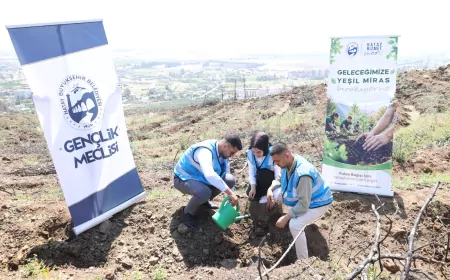 Hatay’da Dünya Çevre Günü Etkinliğinde Gençler ve Öğrenciler İlk Fidanları Toprakla Buluşturdu