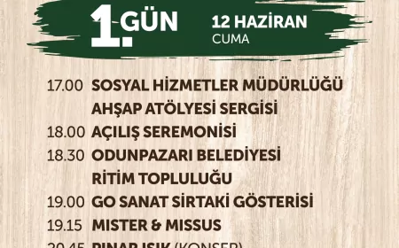 Odunpazarı’nda 9’uncu Uluslararası Ahşap Heykel Festivali Renkli Etkinliklerle Kapılarını Açıyor