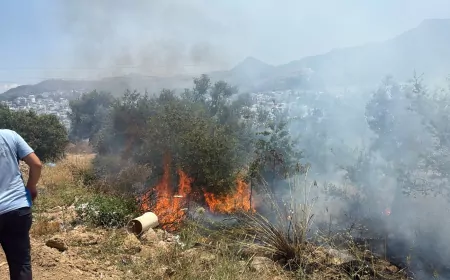 Bodrum Turgutreis’te Makilik Alanda Çıkan Yangında Yaklaşık 1000 Metrekarelik Alan Zarar Gördü